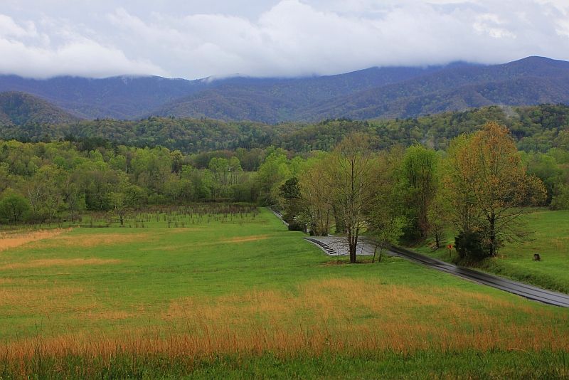 spring comes to Cades Cove (2013, rental, high school) Knoxville